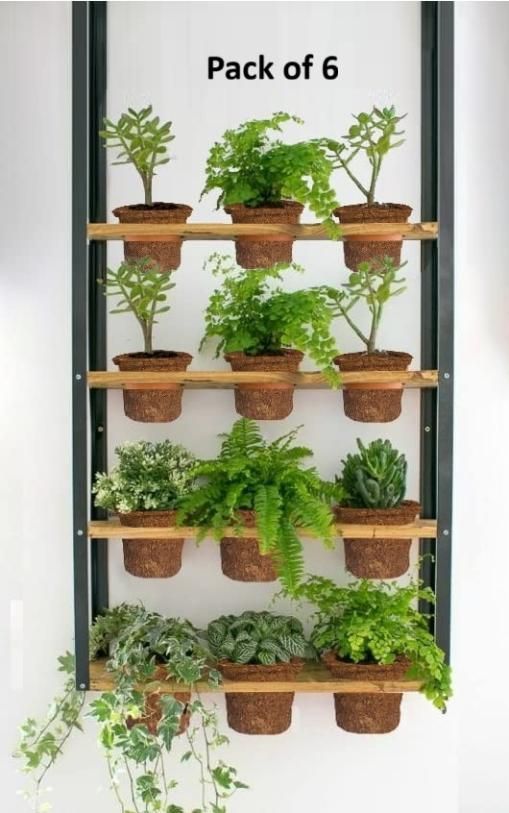 Special Soil Anti Root Breathable Plant Pot - 6 Pcs